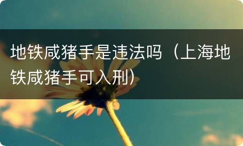 地铁咸猪手是违法吗（上海地铁咸猪手可入刑）