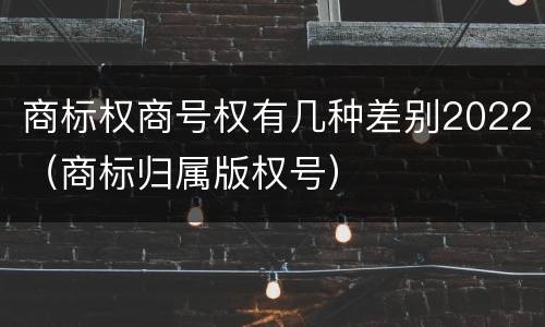 商标权商号权有几种差别2022（商标归属版权号）