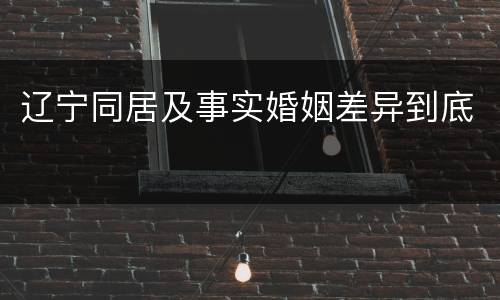 辽宁同居及事实婚姻差异到底