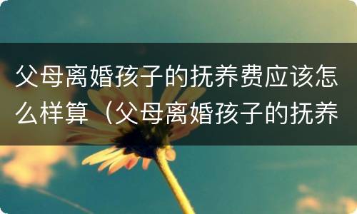 父母离婚孩子的抚养费应该怎么样算（父母离婚孩子的抚养费应该怎么样算呢）
