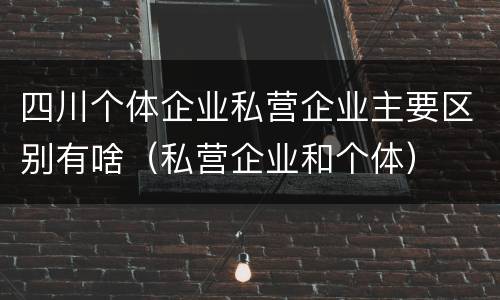 四川个体企业私营企业主要区别有啥（私营企业和个体）