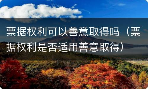 票据权利可以善意取得吗（票据权利是否适用善意取得）