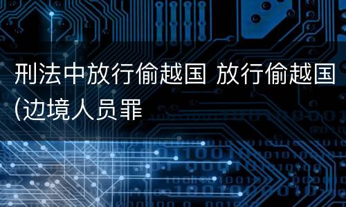 刑法中放行偷越国 放行偷越国(边境人员罪