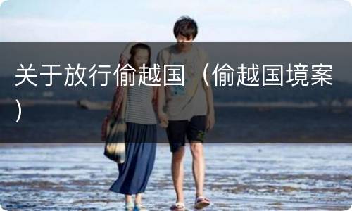 关于放行偷越国（偷越国境案）