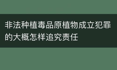非法种植毒品原植物成立犯罪的大概怎样追究责任