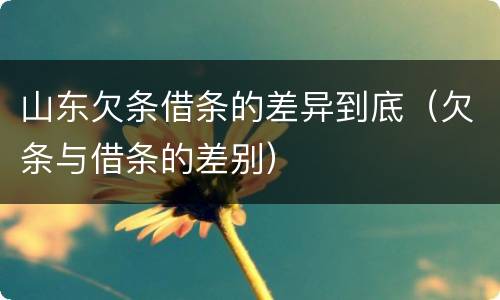 山东欠条借条的差异到底（欠条与借条的差别）