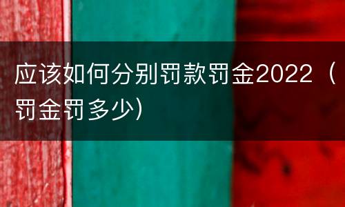 应该如何分别罚款罚金2022（罚金罚多少）