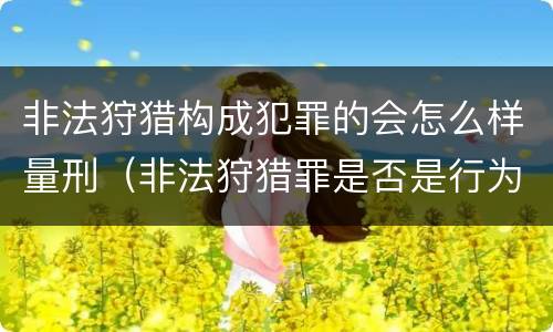 非法狩猎构成犯罪的会怎么样量刑（非法狩猎罪是否是行为犯）