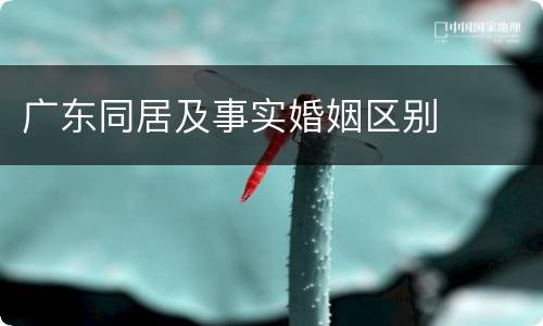 广东同居及事实婚姻区别