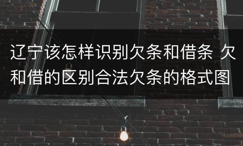 辽宁该怎样识别欠条和借条 欠和借的区别合法欠条的格式图片