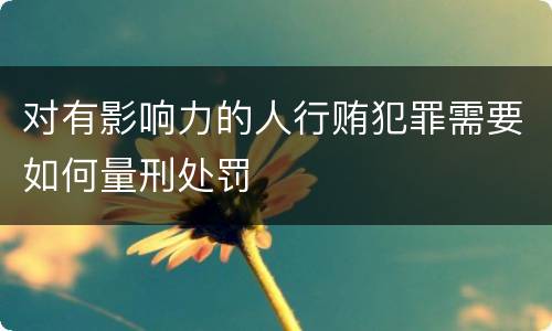 对有影响力的人行贿犯罪需要如何量刑处罚