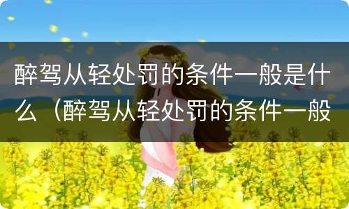 醉驾从轻处罚的条件一般是什么（醉驾从轻处罚的条件一般是什么呢）