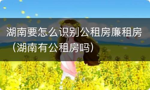 湖南要怎么识别公租房廉租房（湖南有公租房吗）