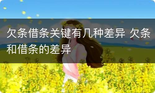 欠条借条关键有几种差异 欠条和借条的差异