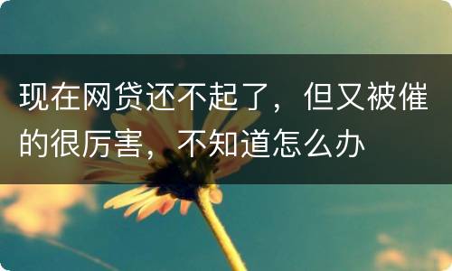 现在网贷还不起了，但又被催的很厉害，不知道怎么办