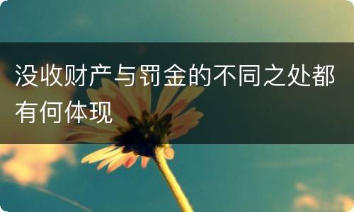 没收财产与罚金的不同之处都有何体现