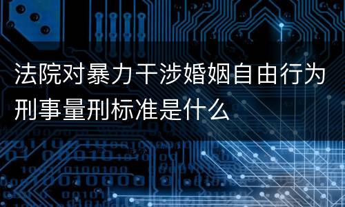 法院对暴力干涉婚姻自由行为刑事量刑标准是什么