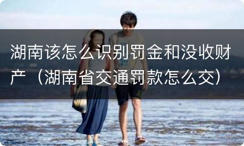 湖南该怎么识别罚金和没收财产（湖南省交通罚款怎么交）