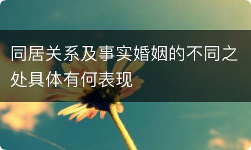 同居关系及事实婚姻的不同之处具体有何表现