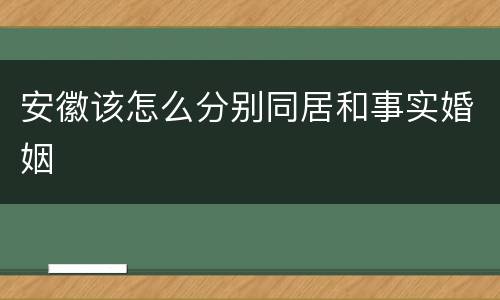 安徽该怎么分别同居和事实婚姻