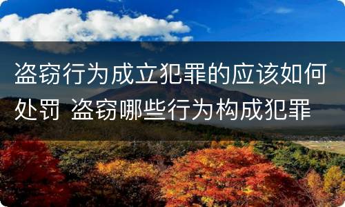 盗窃行为成立犯罪的应该如何处罚 盗窃哪些行为构成犯罪