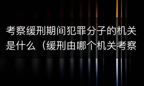 考察缓刑期间犯罪分子的机关是什么（缓刑由哪个机关考察）