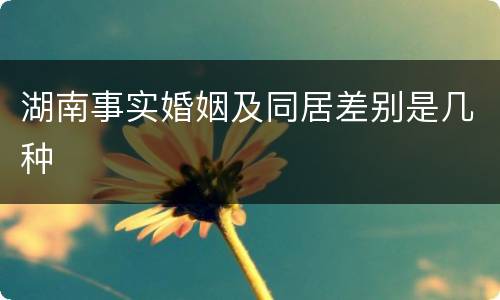 湖南事实婚姻及同居差别是几种