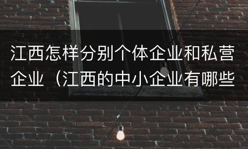 江西怎样分别个体企业和私营企业（江西的中小企业有哪些）