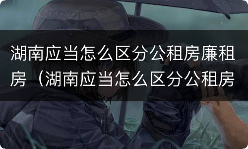 湖南应当怎么区分公租房廉租房（湖南应当怎么区分公租房廉租房呢）