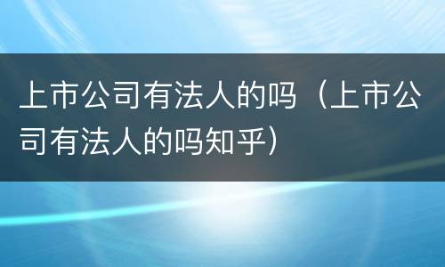 上市公司有法人的吗（上市公司有法人的吗知乎）