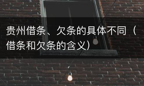 贵州借条、欠条的具体不同（借条和欠条的含义）