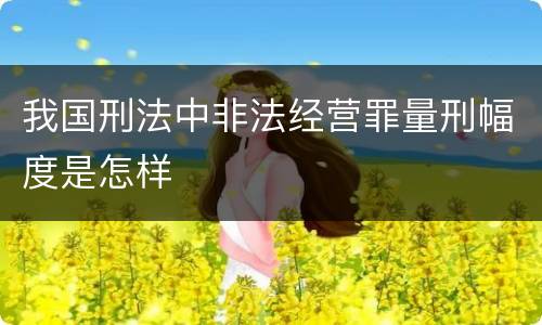 我国刑法中非法经营罪量刑幅度是怎样
