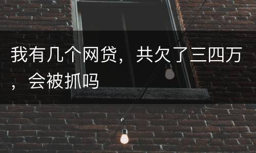 我有几个网贷，共欠了三四万，会被抓吗