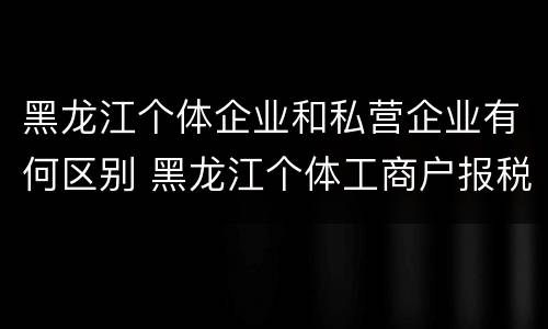 黑龙江个体企业和私营企业有何区别 黑龙江个体工商户报税怎么报
