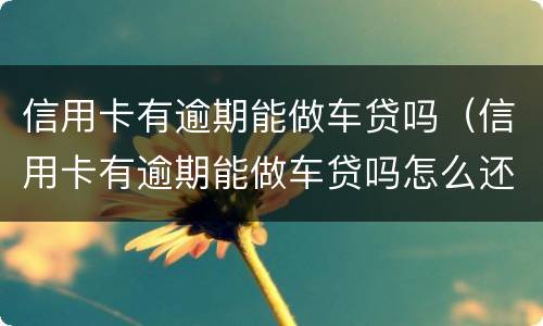信用卡有逾期能做车贷吗(信用卡有逾期能做车贷吗怎么还)