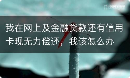 我在网上及金融贷款还有信用卡现无力偿还，我该怎么办