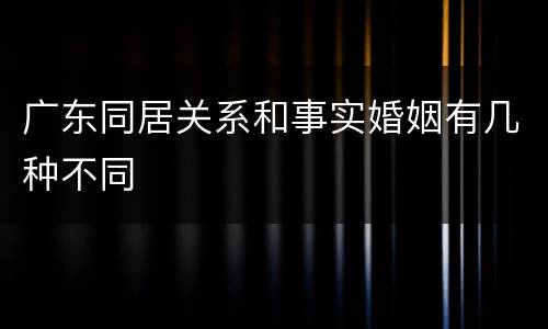广东同居关系和事实婚姻有几种不同