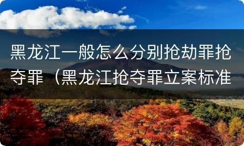 黑龙江一般怎么分别抢劫罪抢夺罪（黑龙江抢夺罪立案标准）