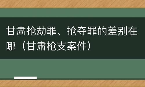 甘肃抢劫罪、抢夺罪的差别在哪（甘肃枪支案件）