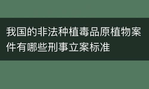 我国的非法种植毒品原植物案件有哪些刑事立案标准