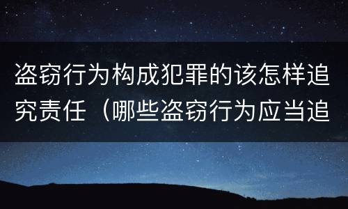 盗窃行为构成犯罪的该怎样追究责任（哪些盗窃行为应当追究刑事责任）
