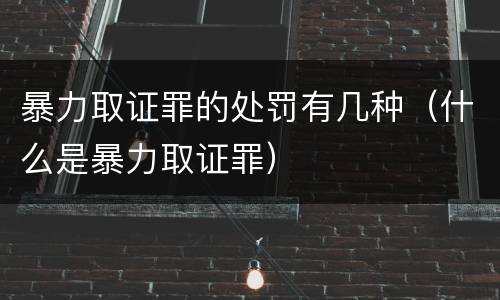 暴力取证罪的处罚有几种（什么是暴力取证罪）
