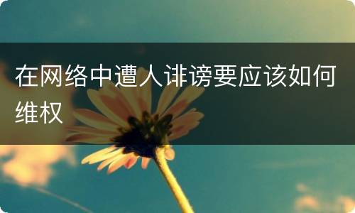 在网络中遭人诽谤要应该如何维权