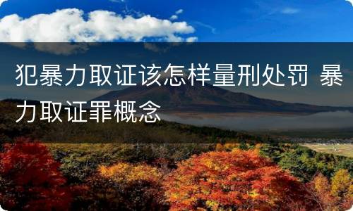 犯暴力取证该怎样量刑处罚 暴力取证罪概念