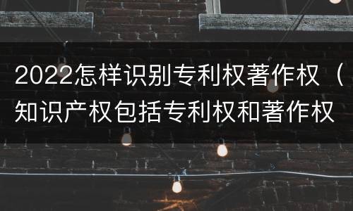 2022怎样识别专利权著作权（知识产权包括专利权和著作权吗）