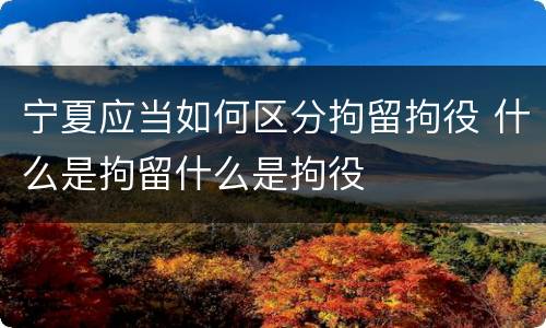 宁夏应当如何区分拘留拘役 什么是拘留什么是拘役