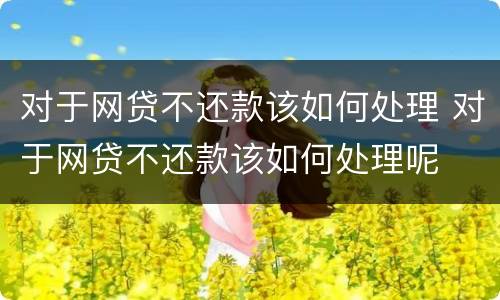 对于网贷不还款该如何处理 对于网贷不还款该如何处理呢