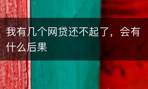 我有几个网贷还不起了，会有什么后果
