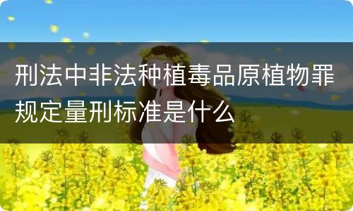 刑法中非法种植毒品原植物罪规定量刑标准是什么
