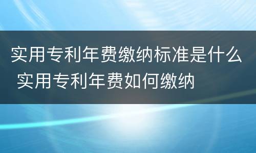 实用专利年费缴纳标准是什么 实用专利年费如何缴纳